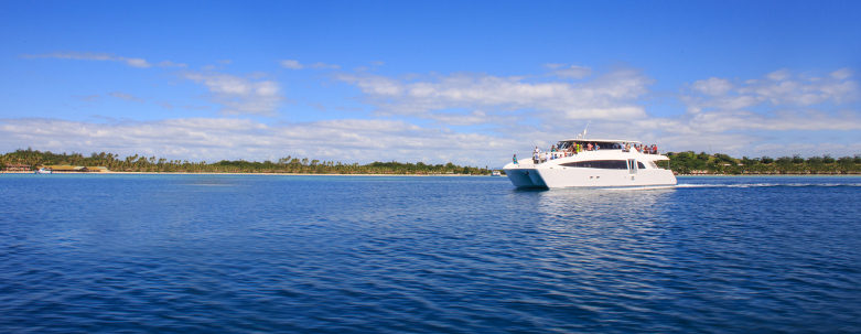 LeeWard Island Services