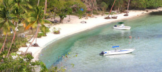 Locals Are Discovering The Delights Of Mango Bay