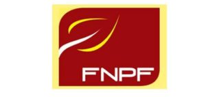 FNPF amnesty period