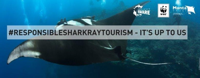 shark-ray_cover