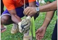 Awareness on mangrove protection