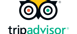 Review platforms have major influence on hotel bookings for business trips