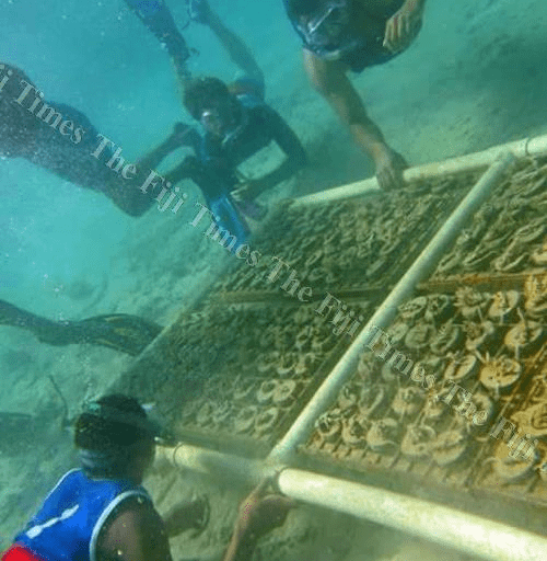 FHTA Tourism Talanoa: Our Reefs Under Pressure