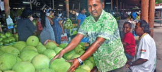 Vegetable prices to increase amid dry weather