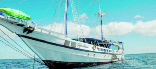 Fiji Siren Not To Be Salvaged