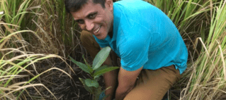 Tourism Sector Plant Trees At National Park