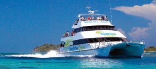 South Sea Cruises Brings In $6m Panther