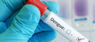 Dengue-fighting mozzies released