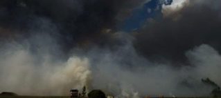Firefighters battle bushfire near Newcastle Airport