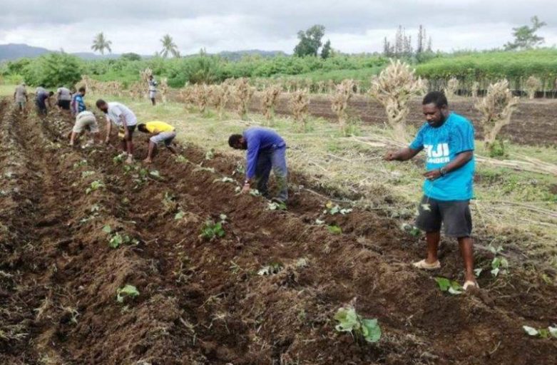 FHTA Tourism Talanoa: Agriculture – Fiji’s Next Economic Powerhouse
