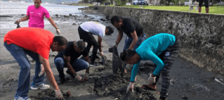 Koya, ANZ Staff Clean Up Suva Foreshore