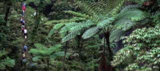 FHTA Tourism Talanoa: Protecting Those Green Shoots