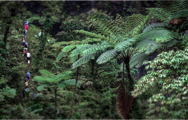 FHTA Tourism Talanoa: Protecting Those Green Shoots