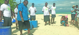 Turtles Released From Treasure Island