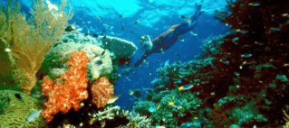 UN Environment, Partners Launch Pacific Marine Climate Change Report Card