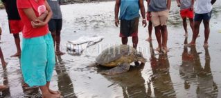 FHTA Tourism Talanoa: Sharing the Responsibility for Skills Development