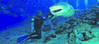 FHTA Tourism Talanoa: Doing More for Environmental Awareness