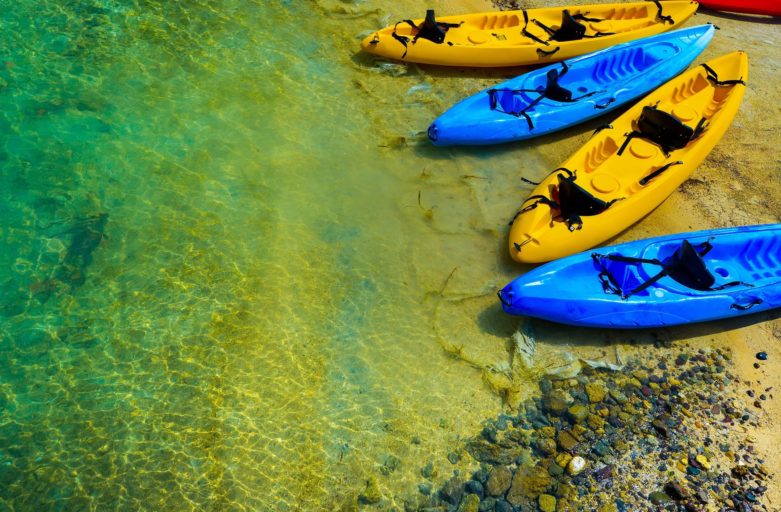 SME Tourism Operators Need Assistance