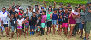 Fiji Airways Staff Plant 3000 Mangrove Plants