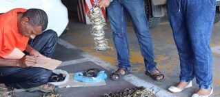 Vendors warned to refrain from selling undersized crabs