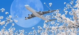 IATA: international passenger demand remains ‘solid’