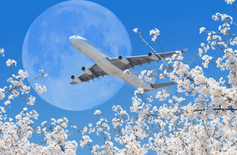 IATA: international passenger demand remains ‘solid’