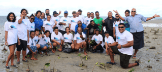 Fiji Airports Limited staff plant over 2,000 mangrove plants at Viseisei Village