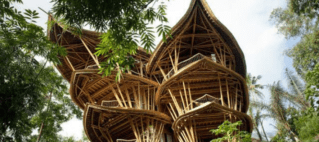 Nawi Island Going Green