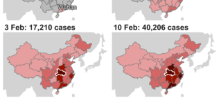 Coronavirus: A visual guide to the outbreak
