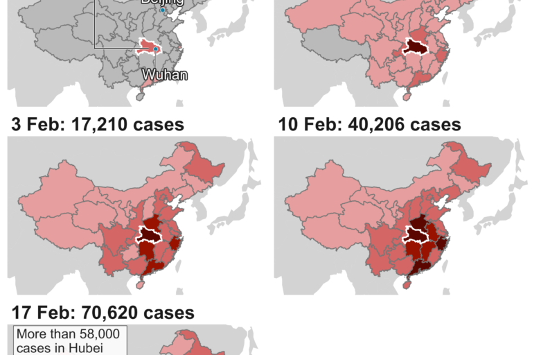 Coronavirus: A visual guide to the outbreak