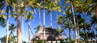 FHTA Tourism Talanoa: That Coconut Tree