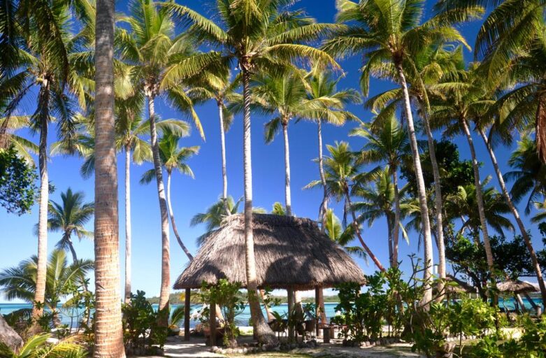 FHTA Tourism Talanoa: That Coconut Tree