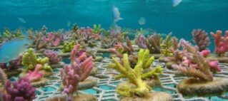 FHTA Tourism Talanoa: Navigating Cooler, Cleaner Oceans