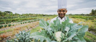 Denarau Island Farm