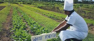Marriott Resort and The Westin Resort Introduces ‘Good Travel with Marriott Bonvoy’