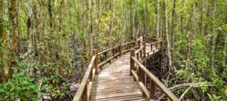 Tourism Talanoa: Our Sustainability