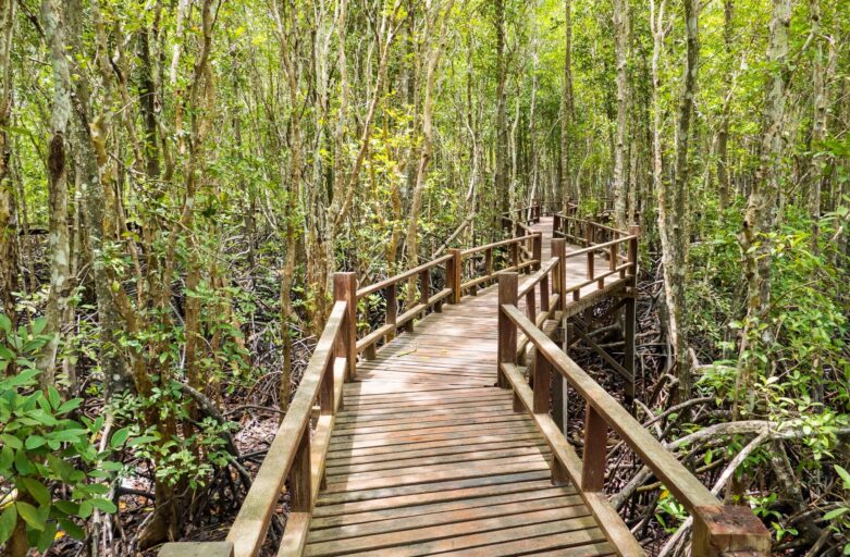 Tourism Talanoa: Our Sustainability
