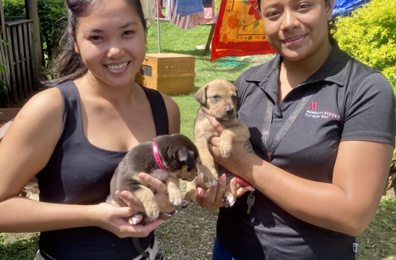 Giving Back to the Community – Donations to Animals Fiji Shelter