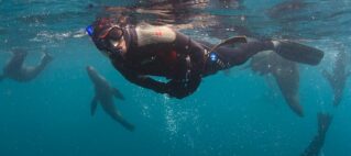 World Oceans Day: What can be done to improve the health of our seas?