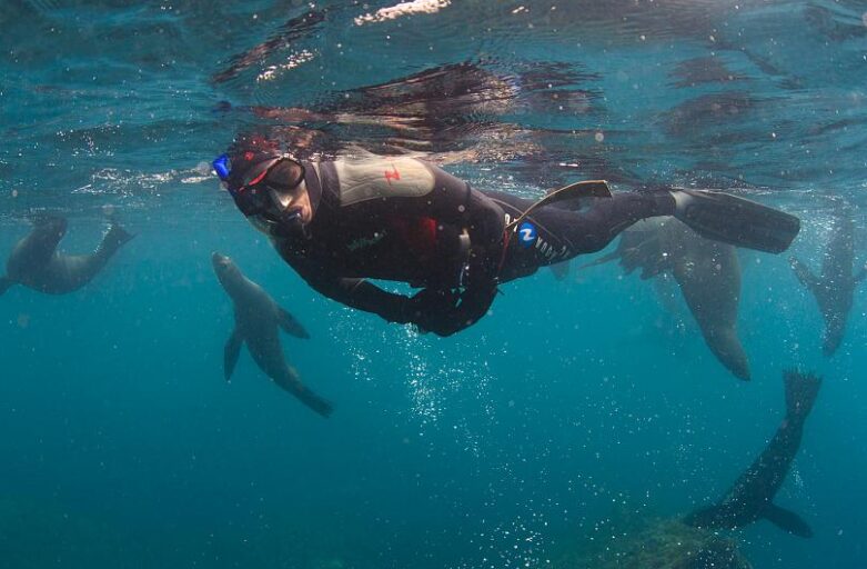 World Oceans Day: What can be done to improve the health of our seas?