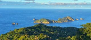 Taking Care Of Biodiverse Islands