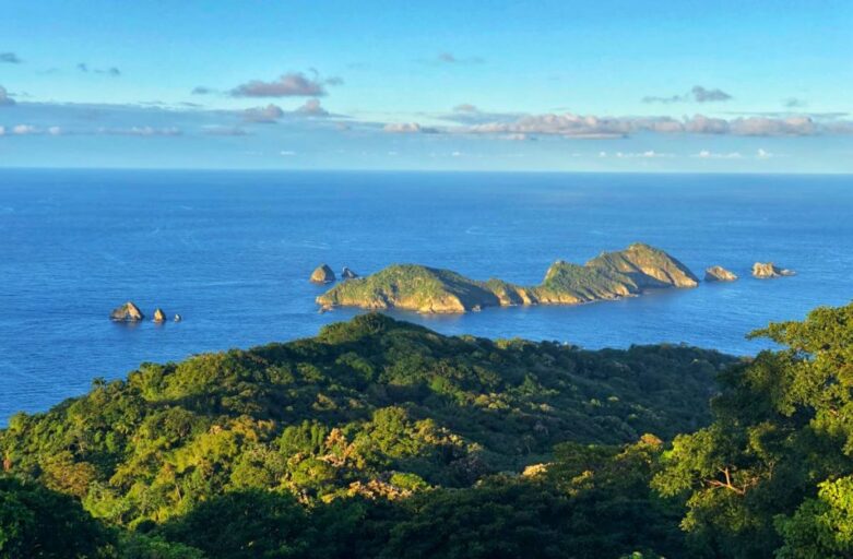 Taking Care Of Biodiverse Islands