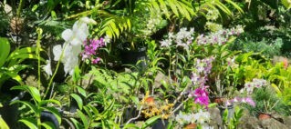FHTA Tourism Talanoa: Our Trash Destroying Our Treasure