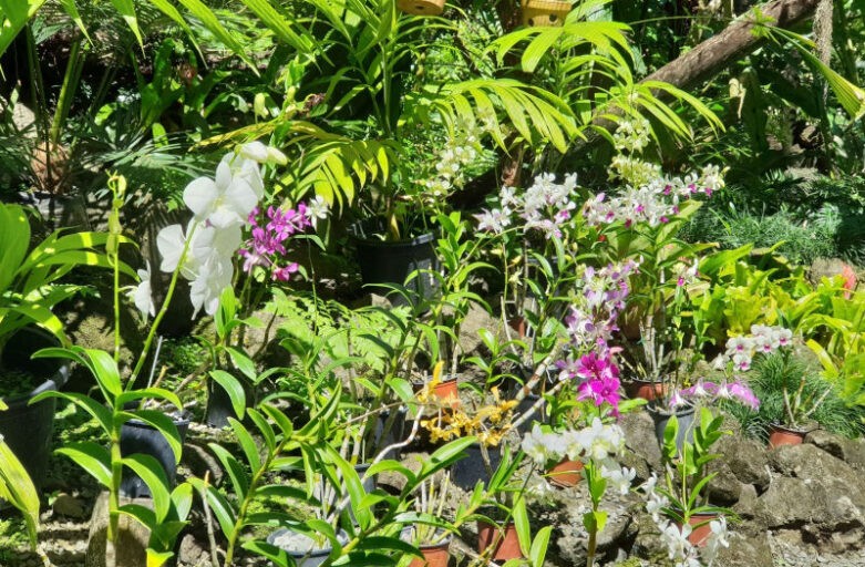 FHTA Tourism Talanoa: Our Trash Destroying Our Treasure