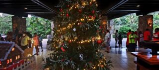 FHTA Tourism Talanoa: Celebrations, Cyclones & Connections