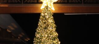 A Wonderful Start to the Festive Season