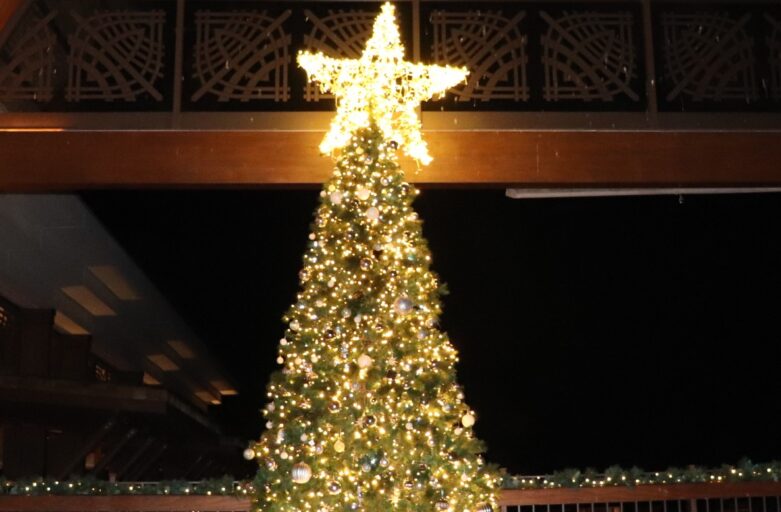 A Wonderful Start to the Festive Season