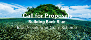 Building Back Blue: BLUE ACCELERATOR GRANT SCHEME