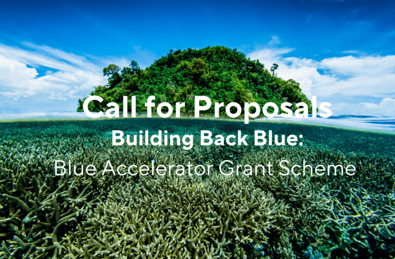 Building Back Blue: BLUE ACCELERATOR GRANT SCHEME