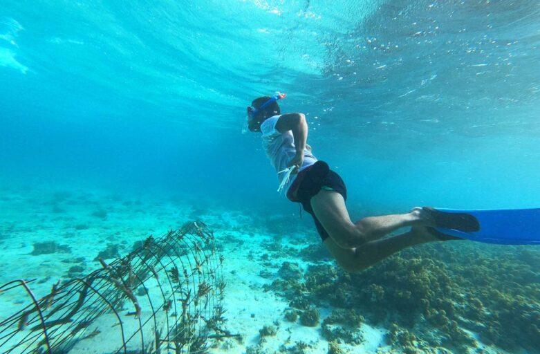 FHTA Tourism Talanoa: A Catalyst for Sustainable Debelopment and Inclusivity